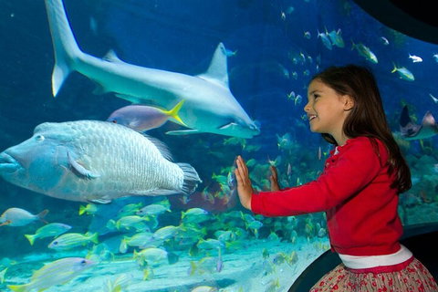 Melbourne BIG Ticket - LEGOLAND Discovery And SEA LIFE Melbourne - Timeshare Accommodation 1