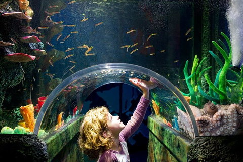 Melbourne BIG Ticket - LEGOLAND Discovery And SEA LIFE Melbourne - Timeshare Accommodation 2