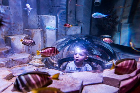 Melbourne BIG Ticket - LEGOLAND Discovery And SEA LIFE Melbourne - Timeshare Accommodation 5