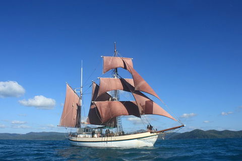 Sydney Harbour Tall Ship Whale & Sail - Whale Watching Cruise - Timeshare Accommodation 1