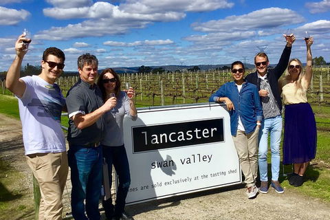 Swan Valley Tour From Perth: Wine, Beer And Chocolate Tastings - Timeshare Accommodation 1