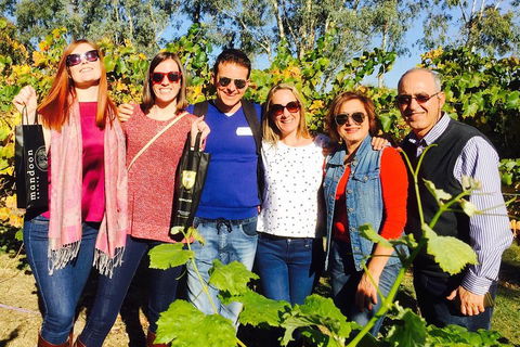 Swan Valley Tour From Perth: Wine, Beer And Chocolate Tastings - Timeshare Accommodation 2