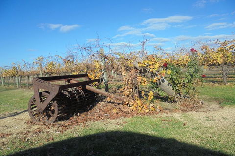 Swan Valley Tour From Perth: Wine, Beer And Chocolate Tastings - Timeshare Accommodation 3