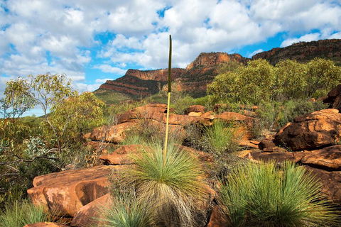6-Day Eyre Peninsula & Flinders Ranges Adventure Tour - Timeshare Accommodation 1