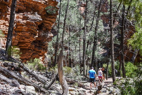 6-Day Eyre Peninsula & Flinders Ranges Adventure Tour - Timeshare Accommodation 5