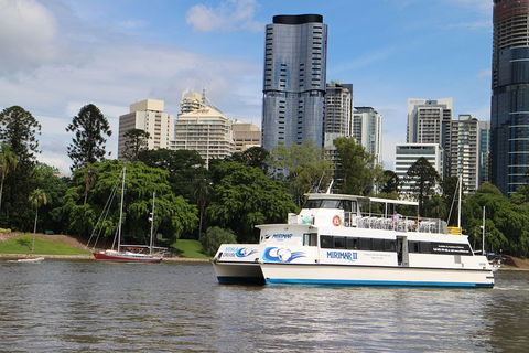 Lone Pine Koala Sanctuary Admission With Brisbane River Cruise - Timeshare Accommodation 2