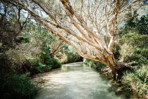 3-Day Fraser Island Resort Package - Timeshare Accommodation 5