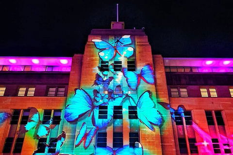 Vivid 90-Minute Sydney Harbour Small Group Catamaran Cruise - Timeshare Accommodation 0