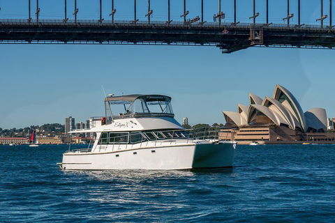Vivid 90-Minute Sydney Harbour Small Group Catamaran Cruise - Timeshare Accommodation 2