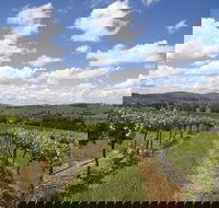 Hunter Valley Wine Tour from Sydney incl Lunch Cheese Chocolate and Distillery - Timeshare Accommodation