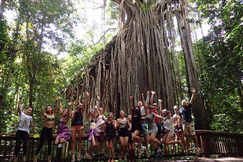 Atherton Tablelands Waterfalls Tour From Cairns - Timeshare Accommodation 5
