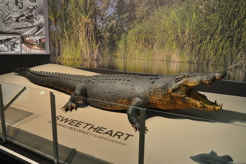 Explore Darwin City Sights Including Key Attractions - Timeshare Accommodation 2